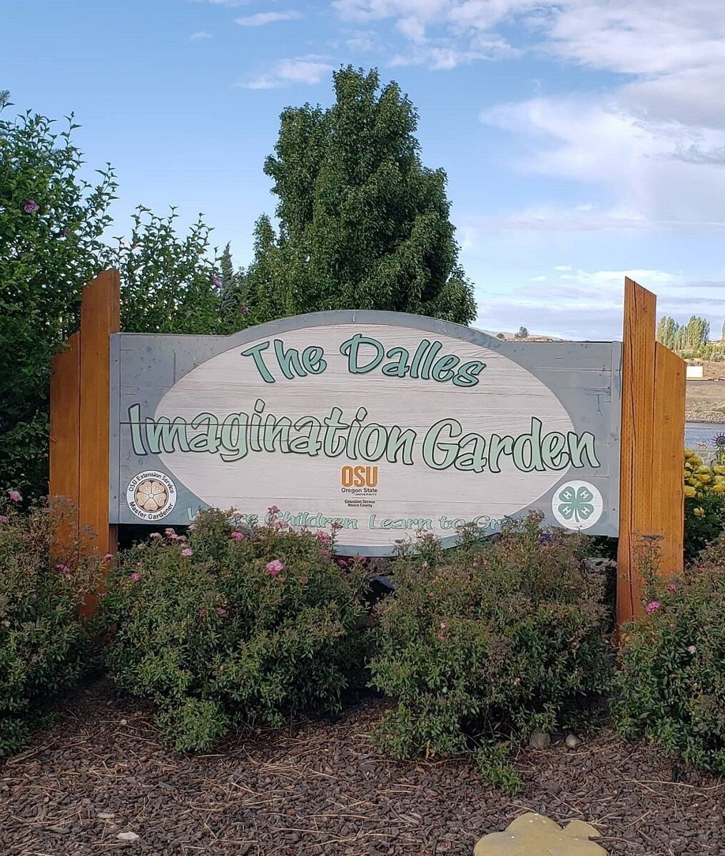 The DIG